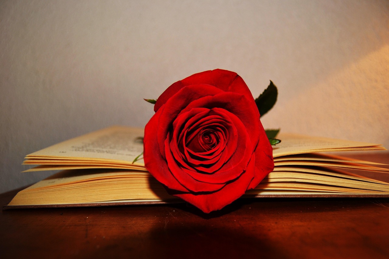 Rose on a Book Rose on a Book